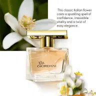 ادوپرفیوم Giordani Gold - تصویر ۳