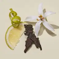 عطر اسپری جیبی Essenza - تصویر ۳