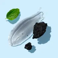 اسکراب مو Purifying Charcoal & Organic Peppermint - تصویر ۳